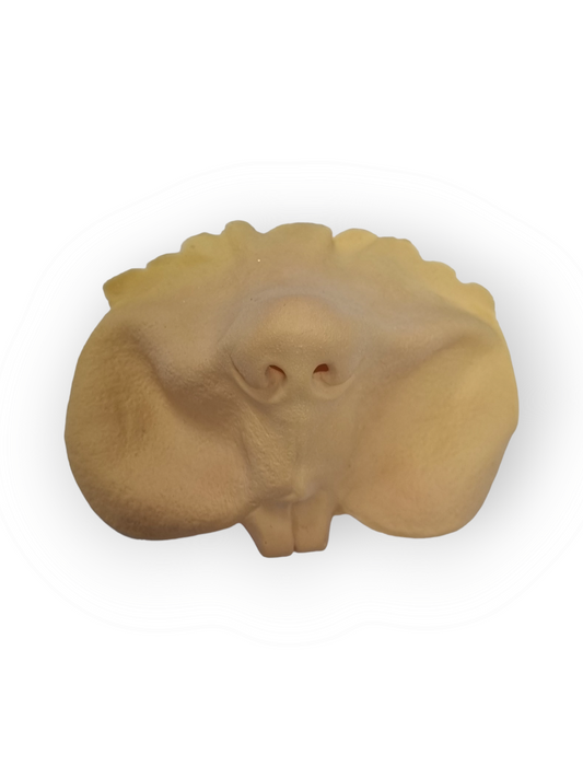 GRIMAS Latexosa Talttahammas