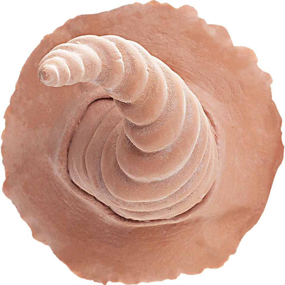 KRYOLAN Lateksiset sarvet Sylph