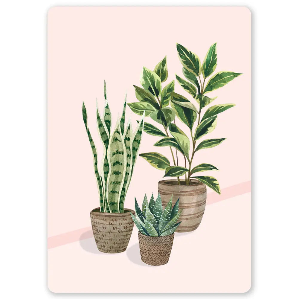 Postikortti Plants on Pink