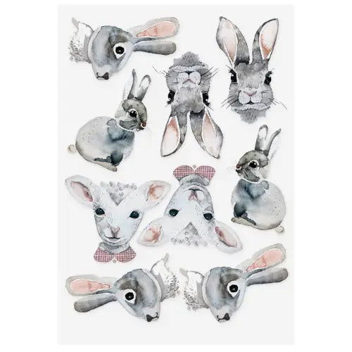 Siirtokuvatatuoinnit Bunnies