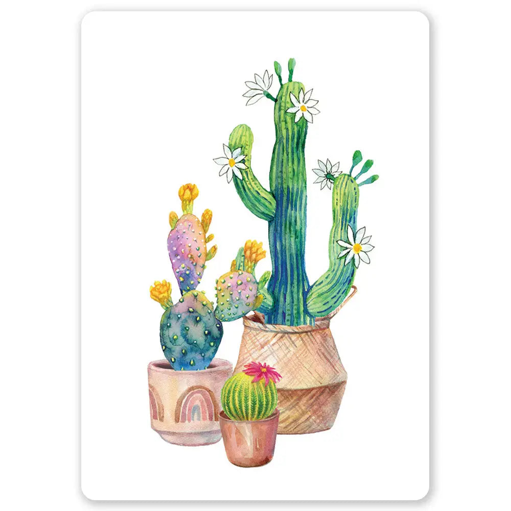 Postikortti Cacti