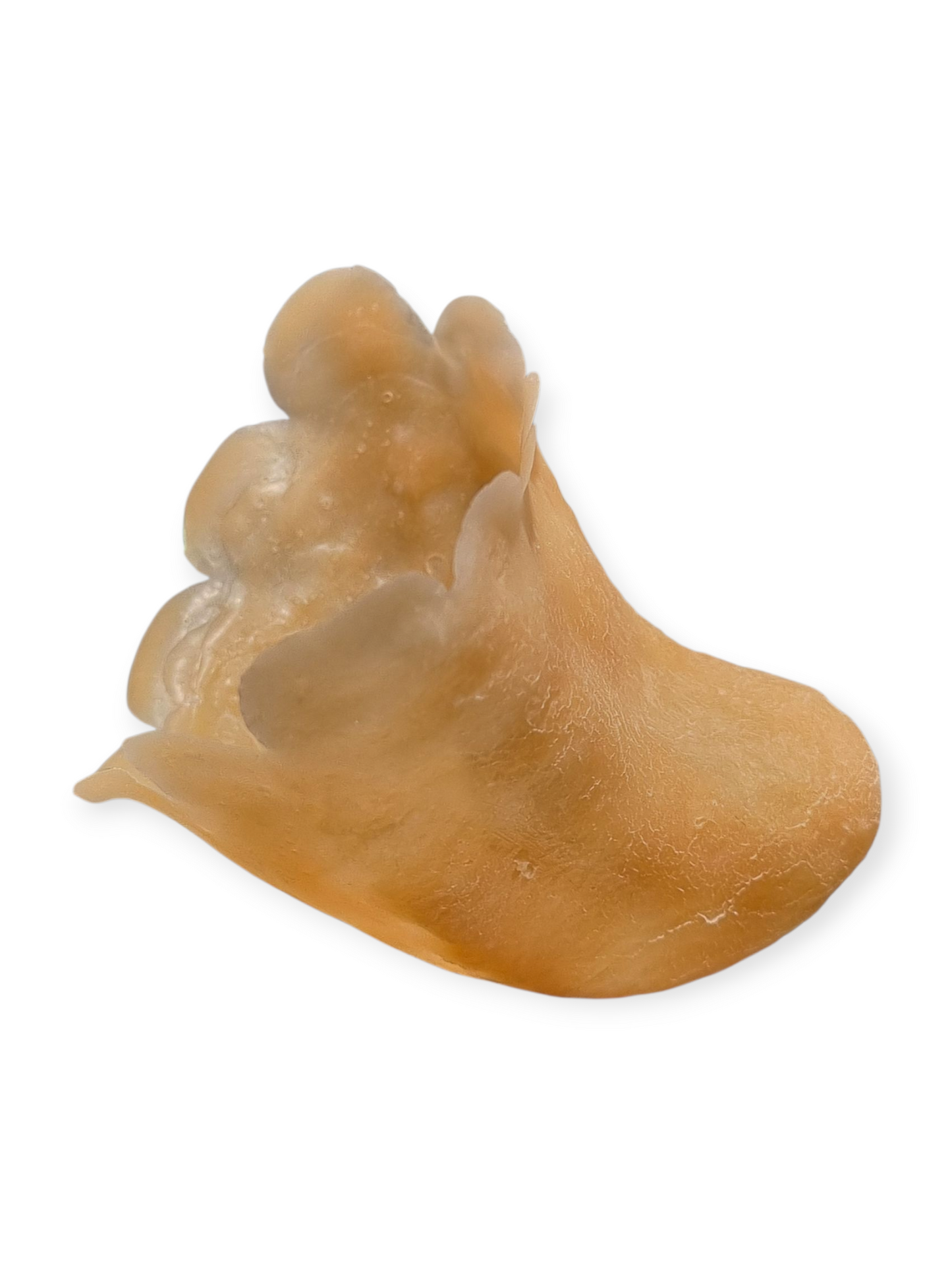 GRIMAS Latexosa Paholaisen leuka