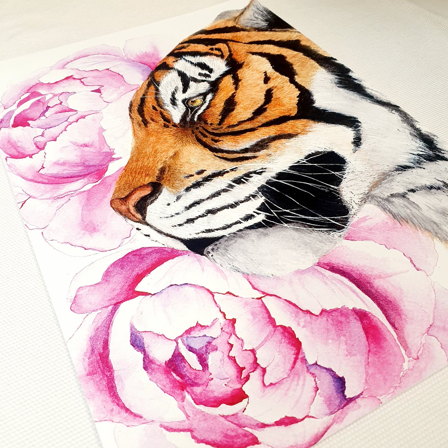 Elisa Parto printti Tiikeri, A4
