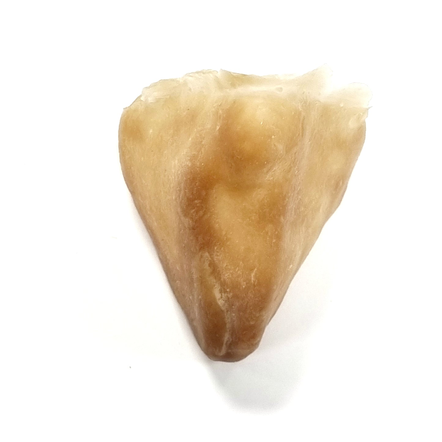 GRIMAS Latexosa Koukkunokka