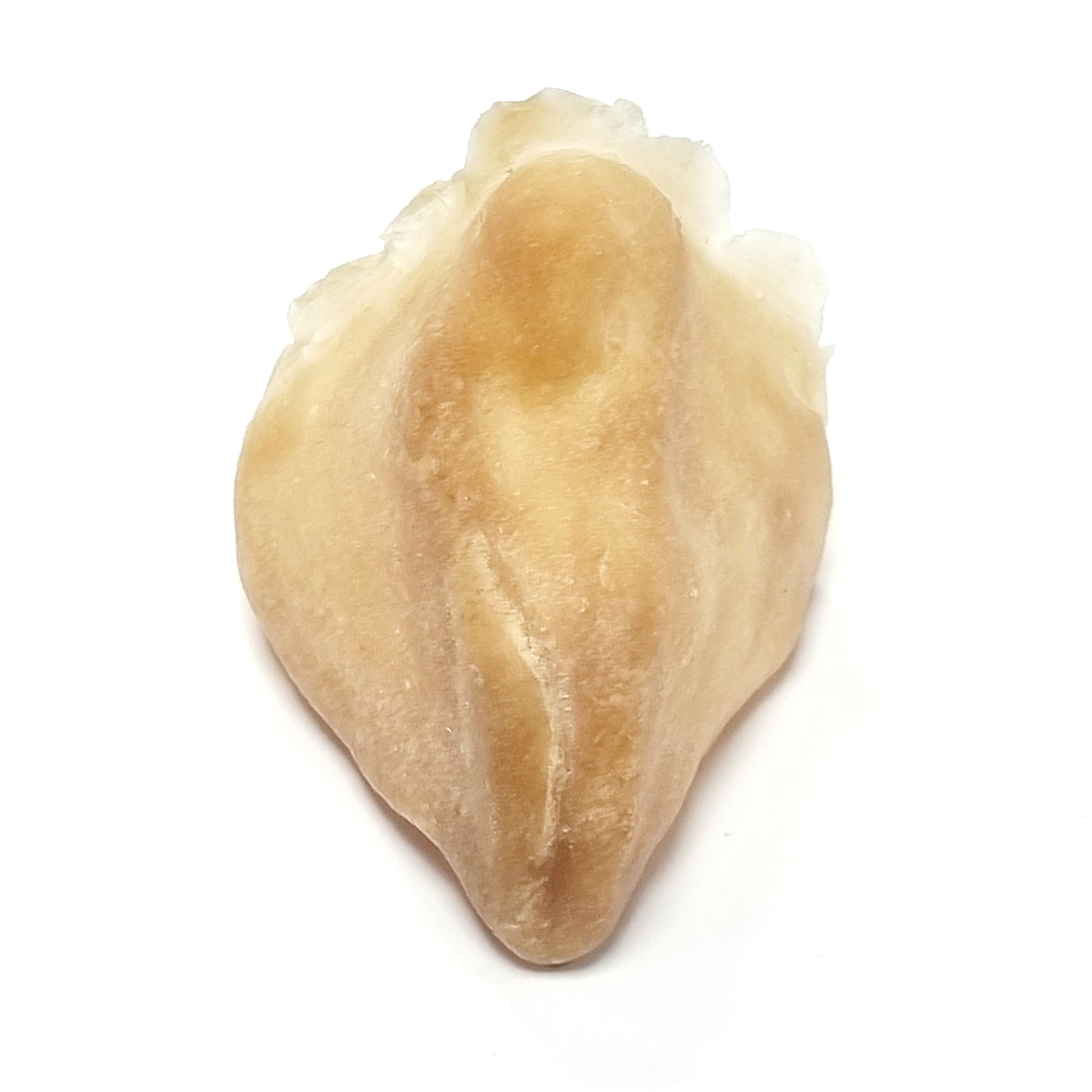 GRIMAS Latexosa Koukkunokka