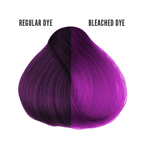 Herman's Amazing Magic Orchid