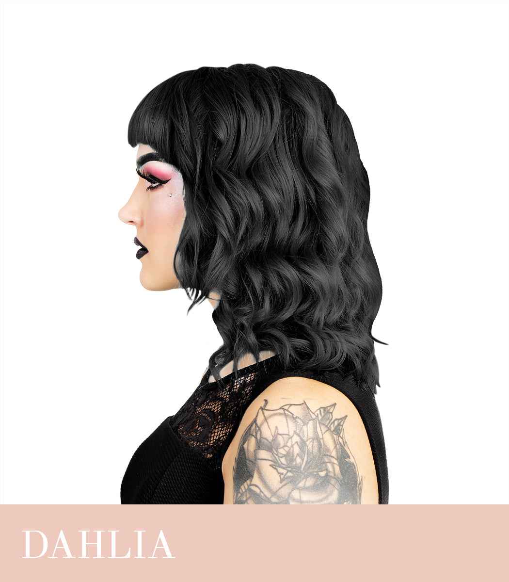 Herman's Amazing Black Dahlia
