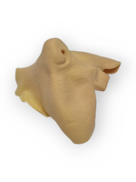 GRIMAS Latexosa Talttahammas