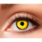 Piilolinssit 3kk, Yellow Lion
