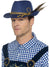 Oktoberfest-hattu Navy & Gold
