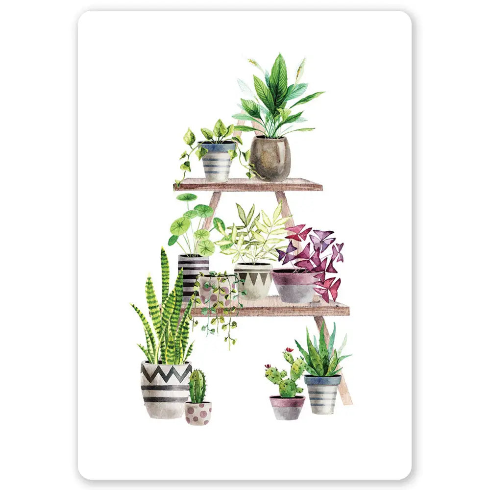 Postikortti Plant Shelf