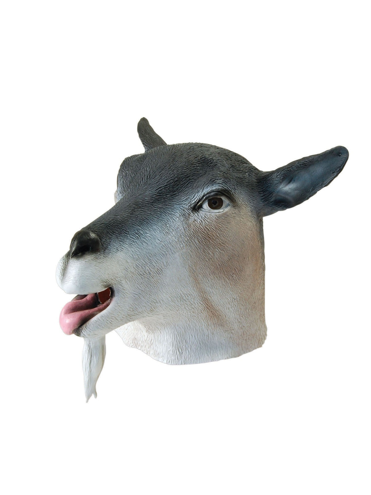 Latexnaamari GOAT
