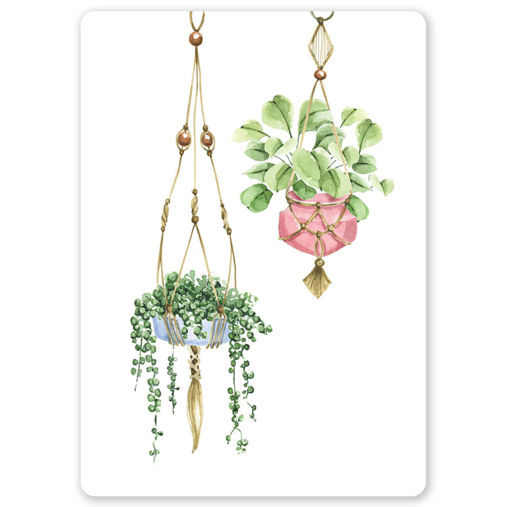 Postikortti Hanging Plants