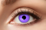 Piilolinssit 3kk, Purple
