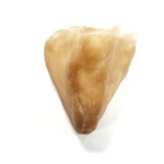 GRIMAS Latexosa Koukkunokka