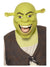 Latexnaamari Shrek
