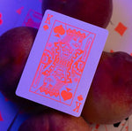 Korttipakka Fluorescent Orange