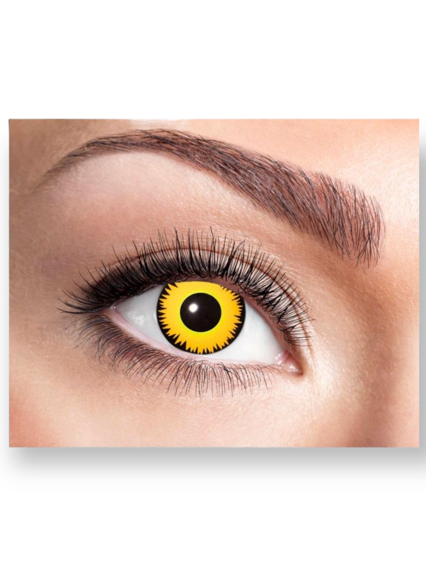Piilolinssit 3kk, Yellow Lion